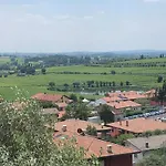 Garden *
