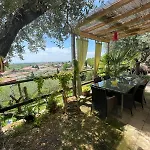 Garden *