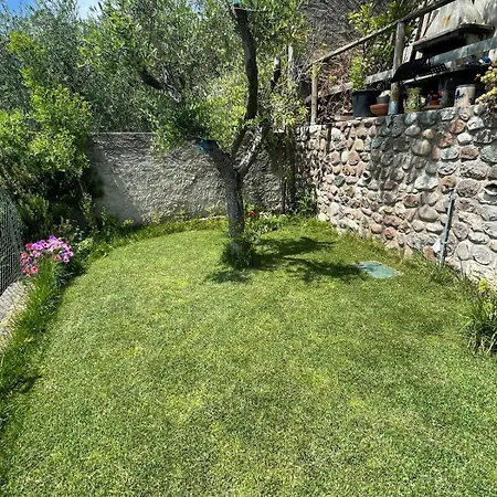Garden * Cavaion Veronese