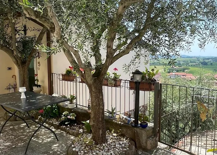 Garden *