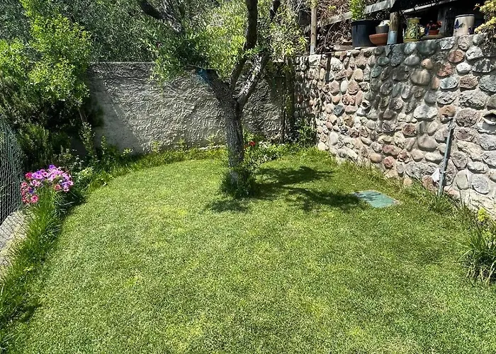 Garden * 카바욘베로네세