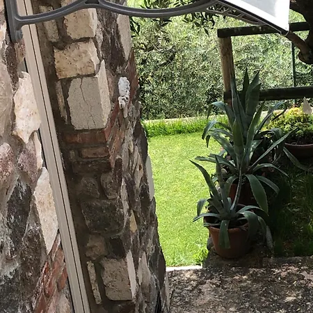 Garden Cavaion Veronese