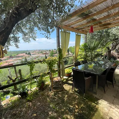 Garden *